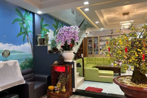 ban-biet-thu-hiepbinhchanh-duong-25-vip-32ty (10)